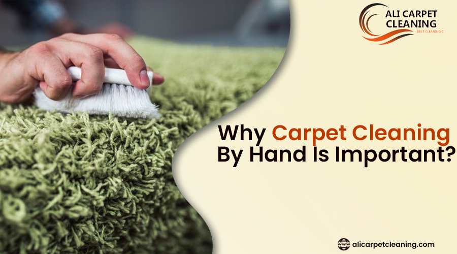 Carpet cleaning in Hong Kong, Best Carpet cleaning services in Hong Kong, Importance of carpet cleaners